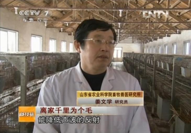 現(xiàn)代農業(yè)兔產業(yè)技術體系崗位科學家        姜文學 研究